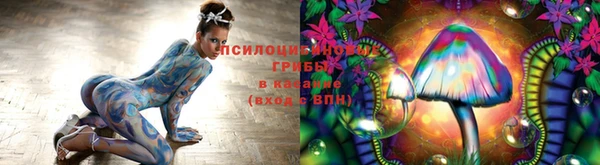 PSILOCYBIN Армянск