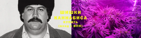 PSILOCYBIN Армянск