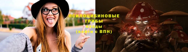 PSILOCYBIN Армянск