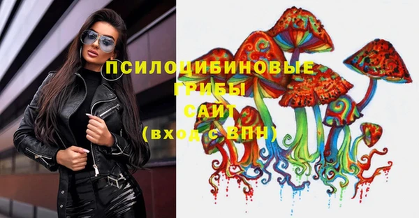 МДПВ Новодвинск