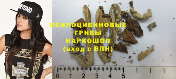 прущие грибы Арсеньев